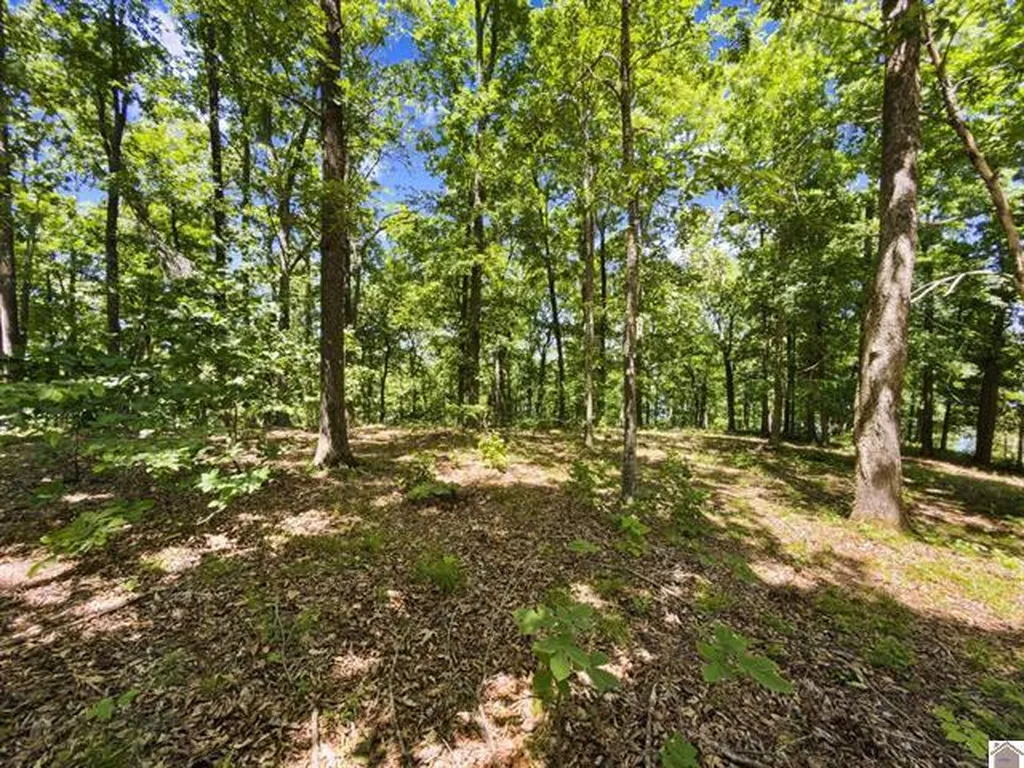 Lot 24 Pier Lane Murray KY 42071