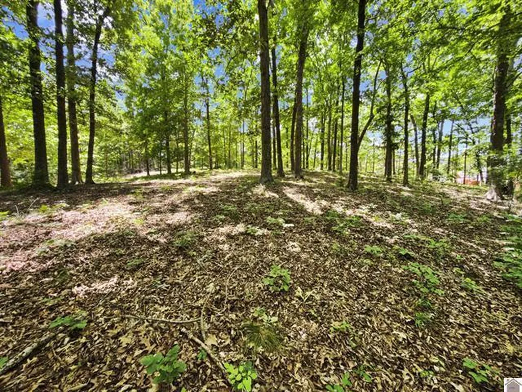 Lot 24 Pier Lane Murray KY 42071