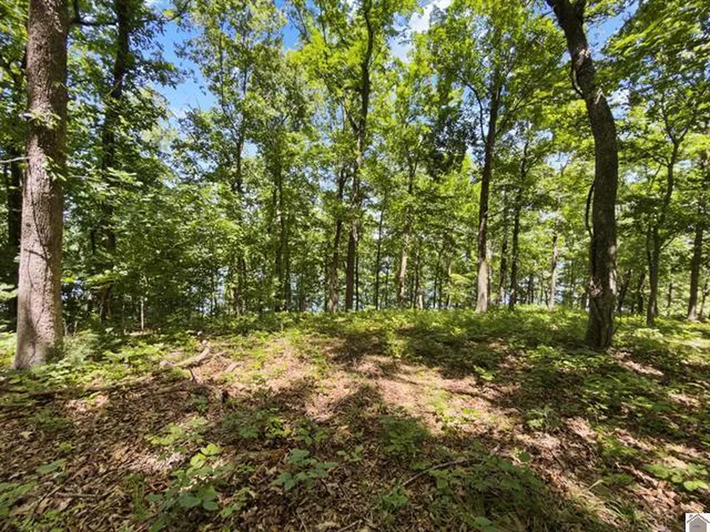 Lot 24 Pier Lane Murray KY 42071