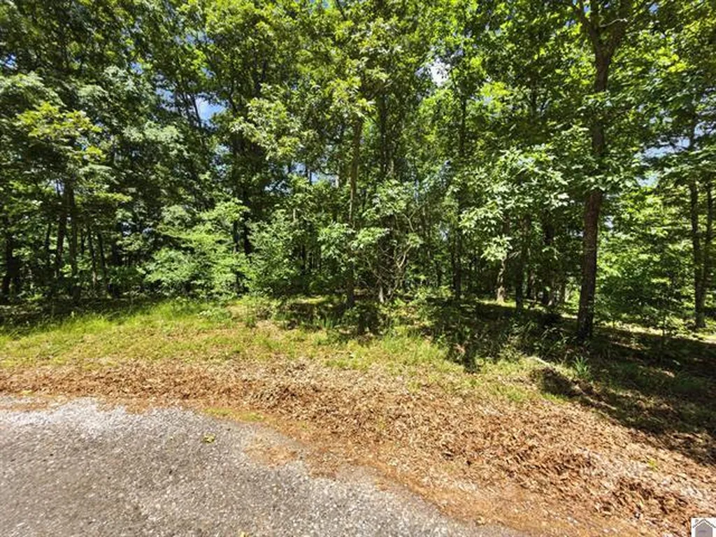 Lot 24 Pier Lane Murray KY 42071