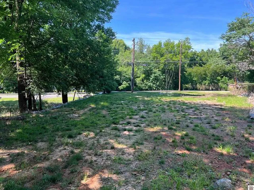 73 Lakeshore Drive Eddyville KY 42038