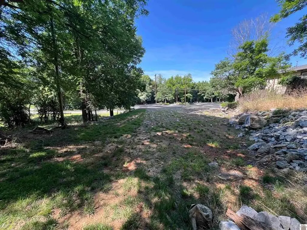 73 Lakeshore Drive Eddyville KY 42038