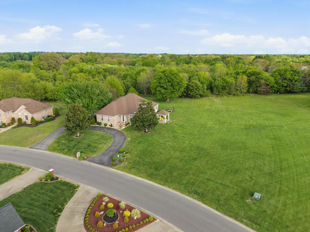 113 Clubhouse Drive Ledbetter KY 42058