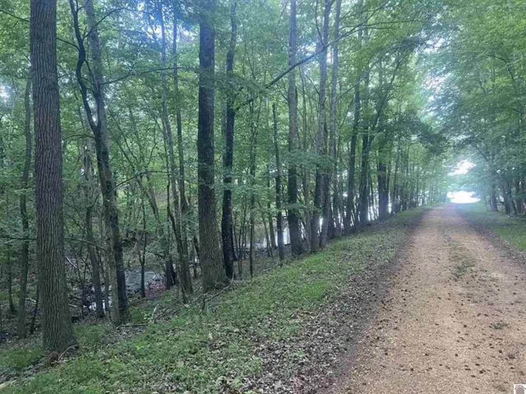Lot 51 Block E Serenity Shores Road Cadiz KY 42211