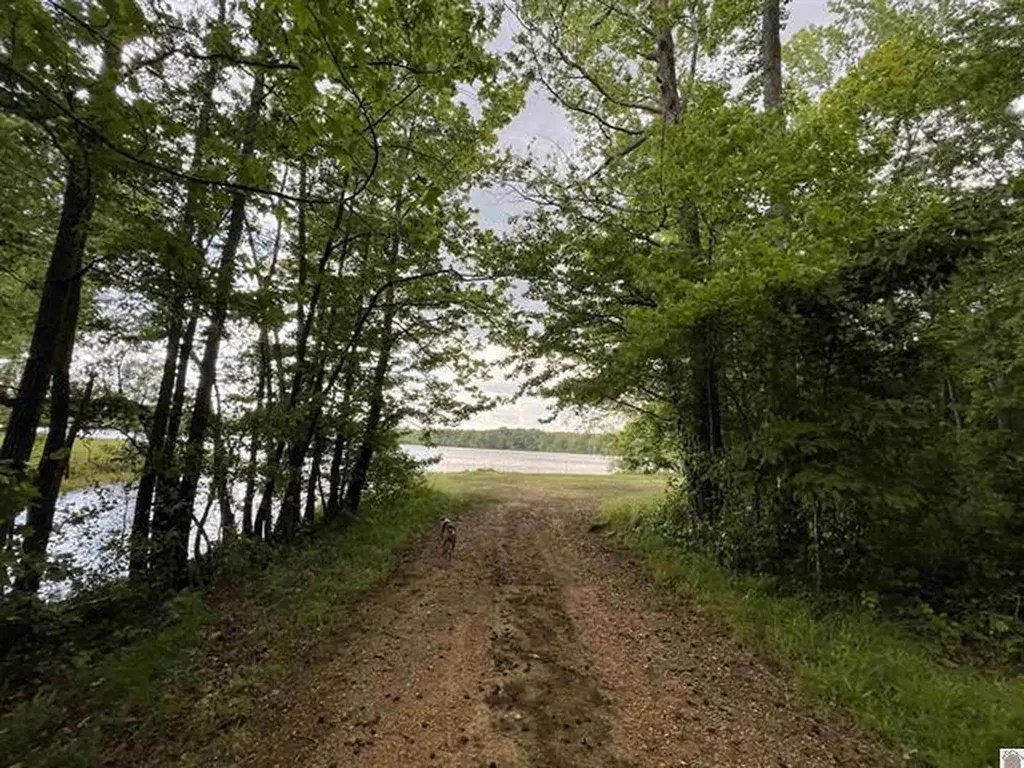 Lot 51 Block E Serenity Shores Road Cadiz KY 42211