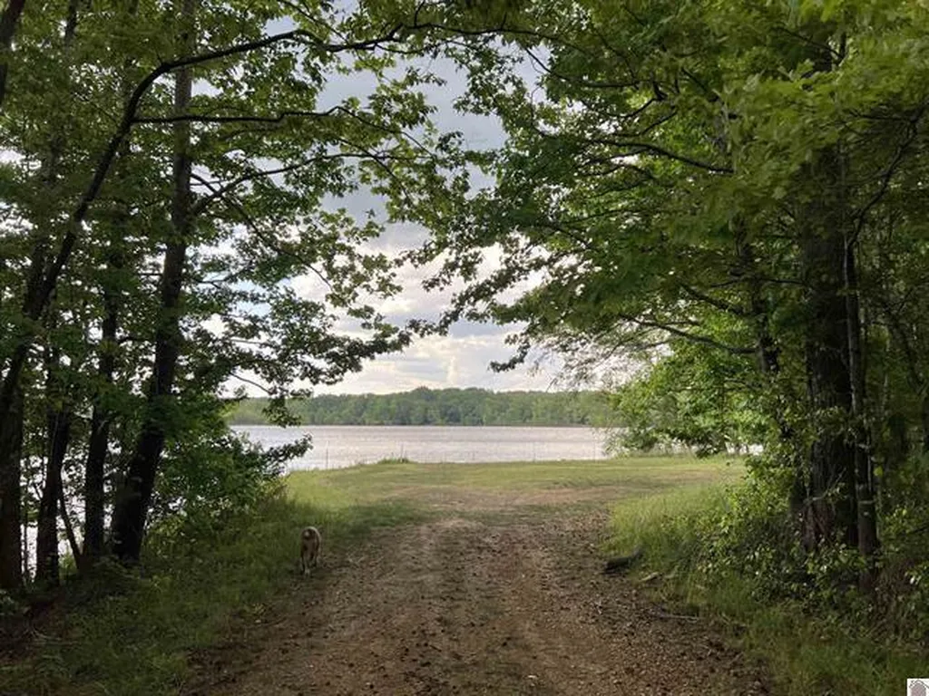 Lot 51 Block E Serenity Shores Road Cadiz KY 42211