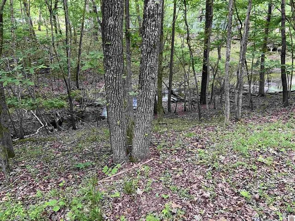 Lot 51 Block E Serenity Shores Road Cadiz KY 42211