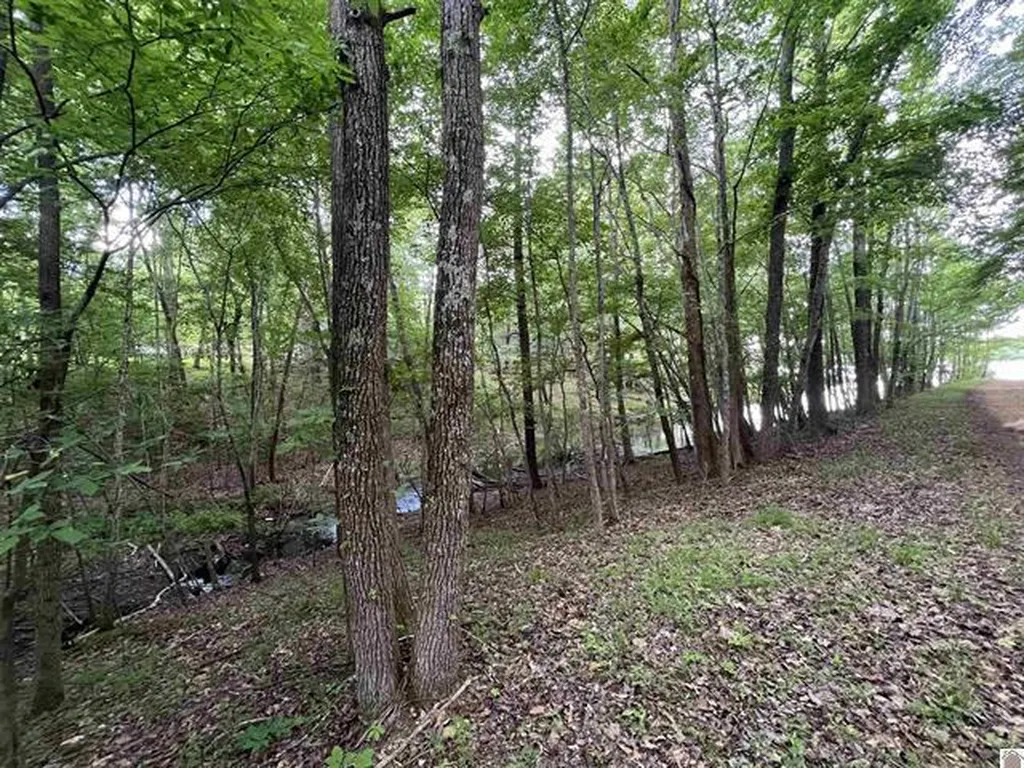 Lot 51 Block E Serenity Shores Road Cadiz KY 42211