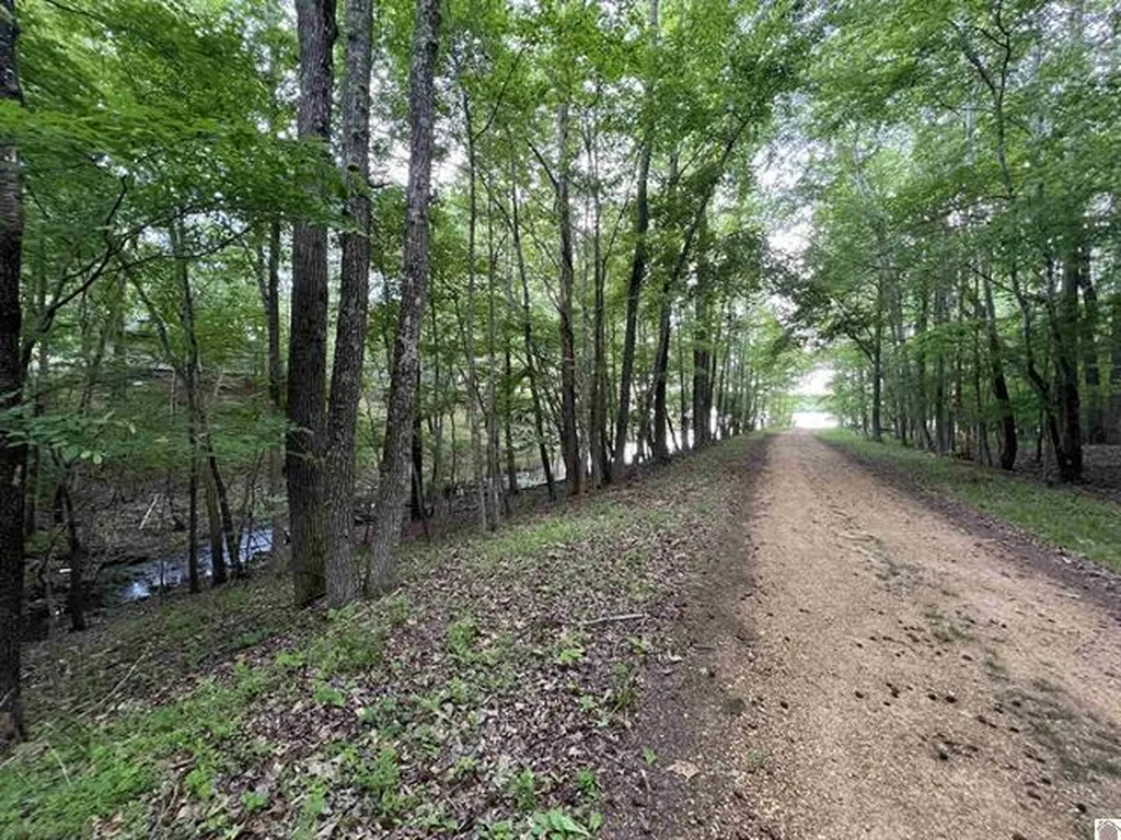 Lot 51 Block E Serenity Shores Road Cadiz KY 42211