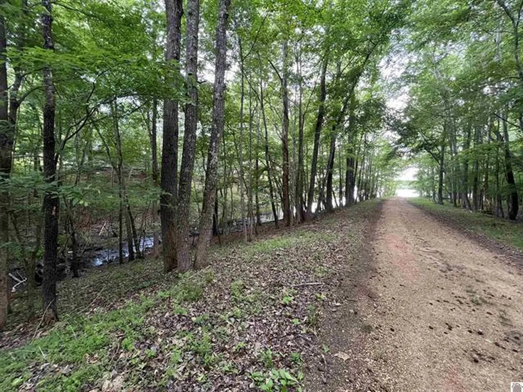 Lot 51 Block E Serenity Shores Road Cadiz KY 42211