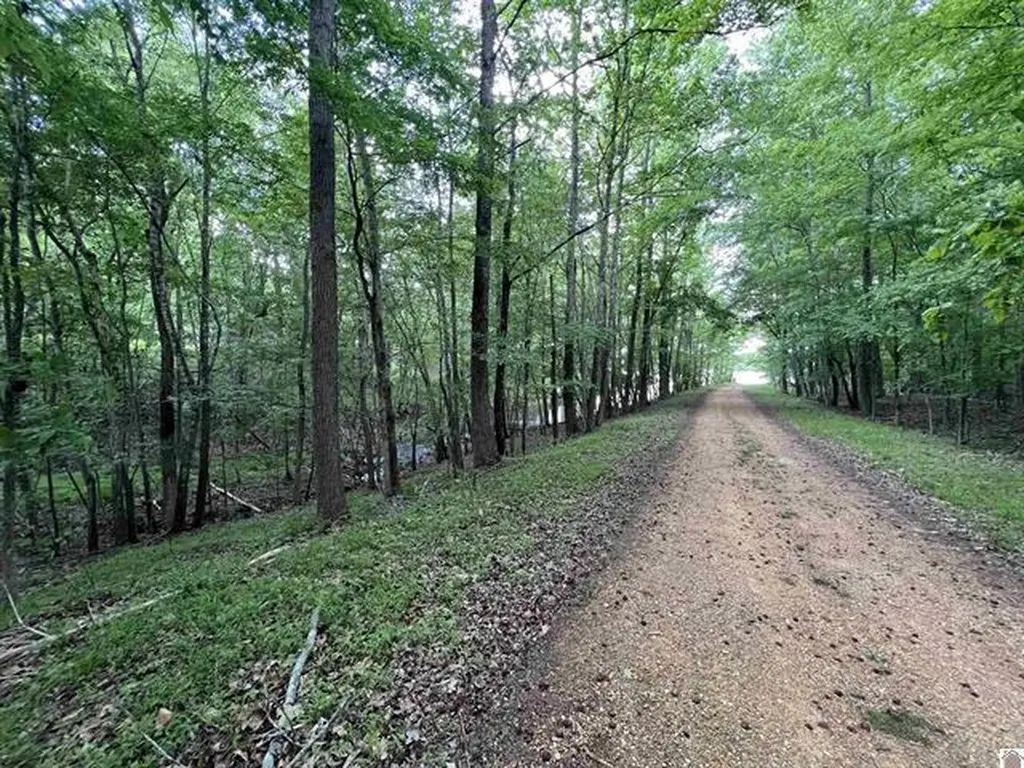 Lot 51 Block E Serenity Shores Road Cadiz KY 42211