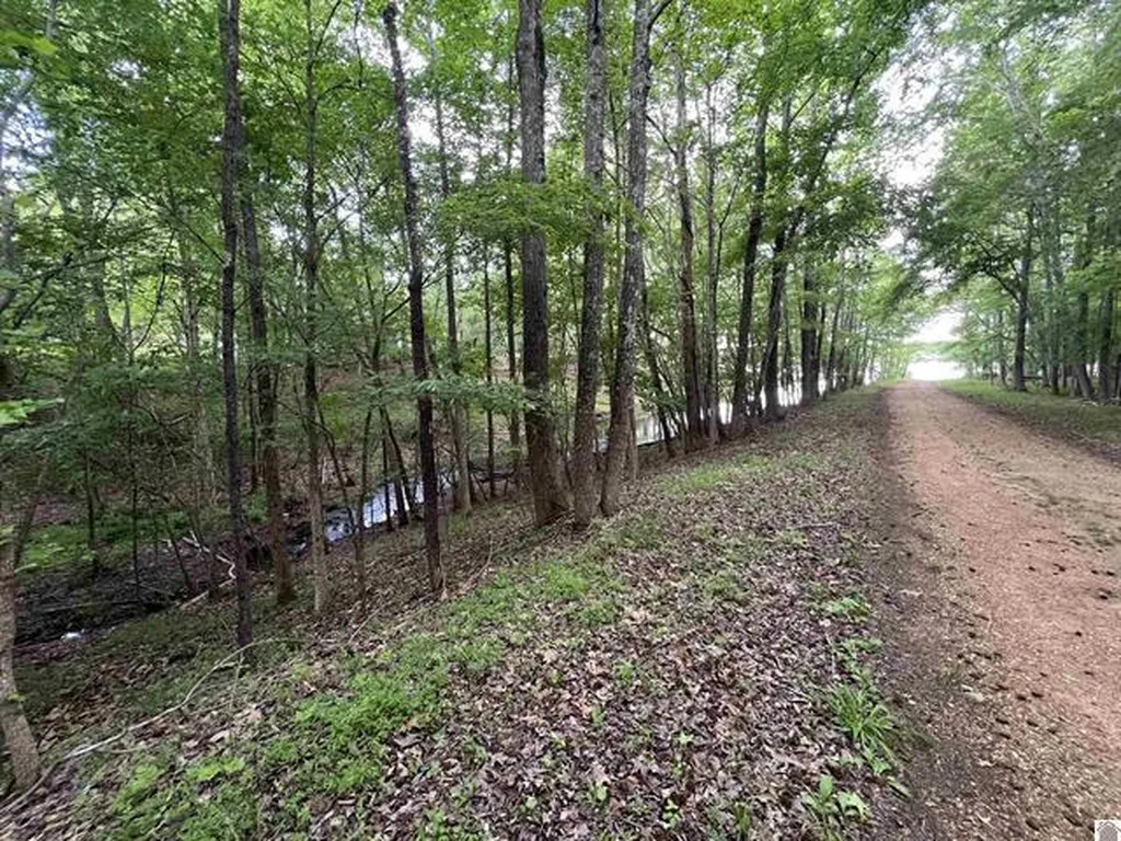 Lot 51 Block E Serenity Shores Road Cadiz KY 42211