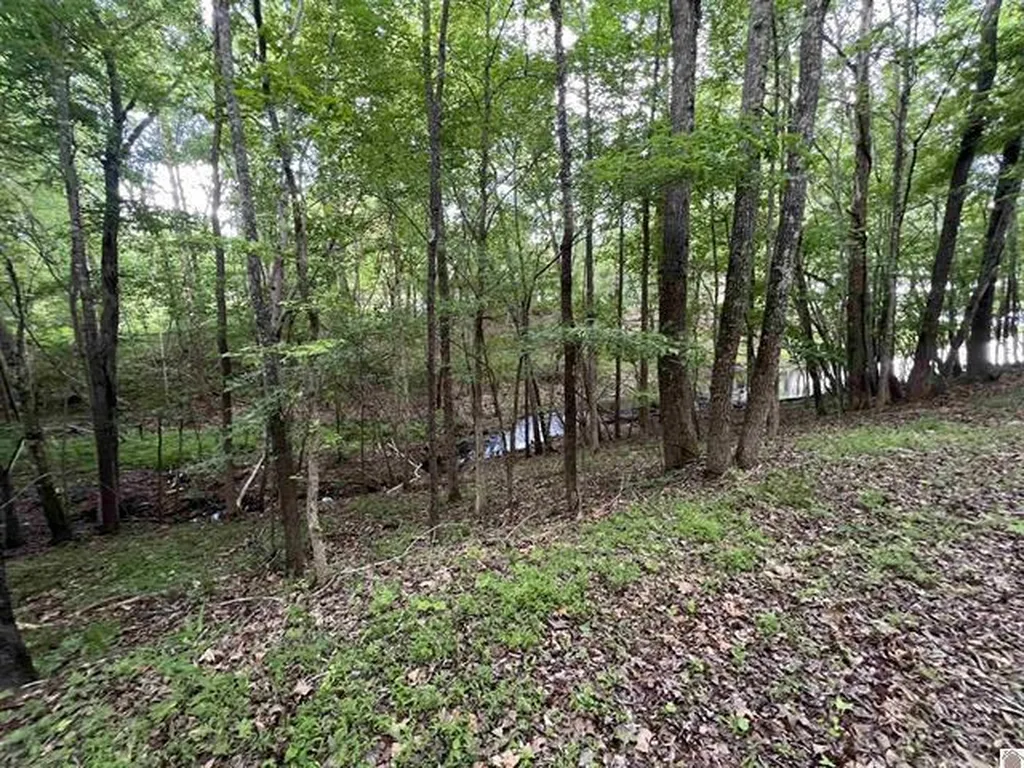 Lot 51 Block E Serenity Shores Road Cadiz KY 42211