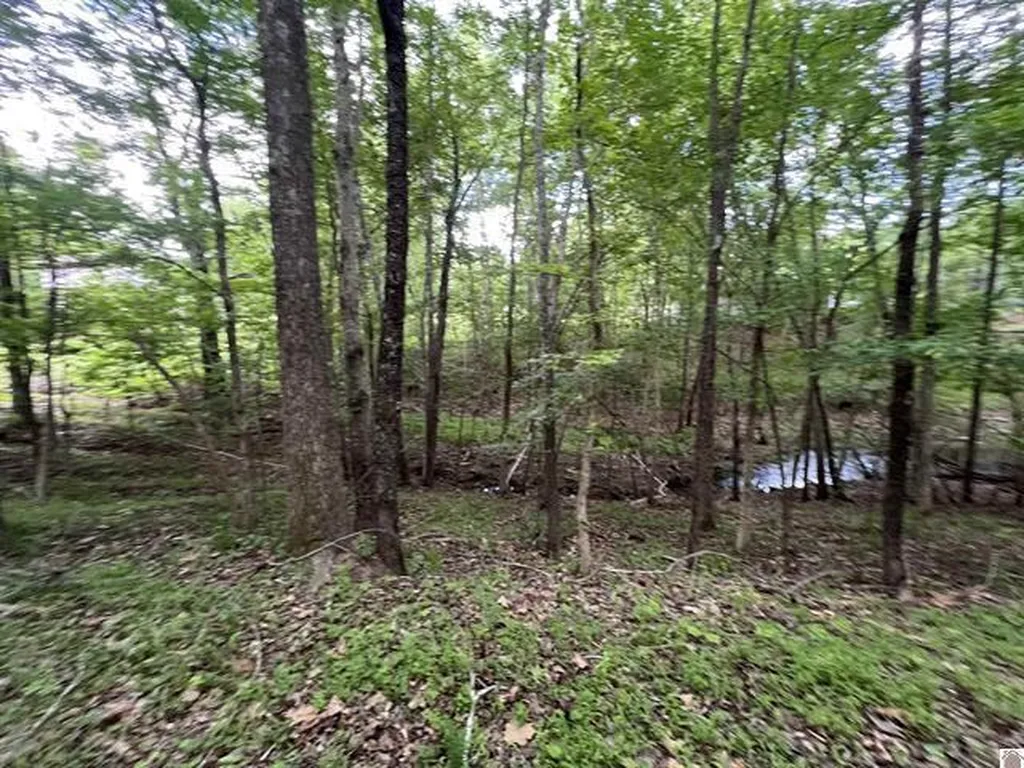 Lot 51 Block E Serenity Shores Road Cadiz KY 42211