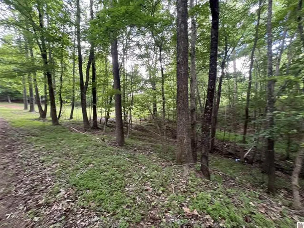 Lot 51 Block E Serenity Shores Road Cadiz KY 42211