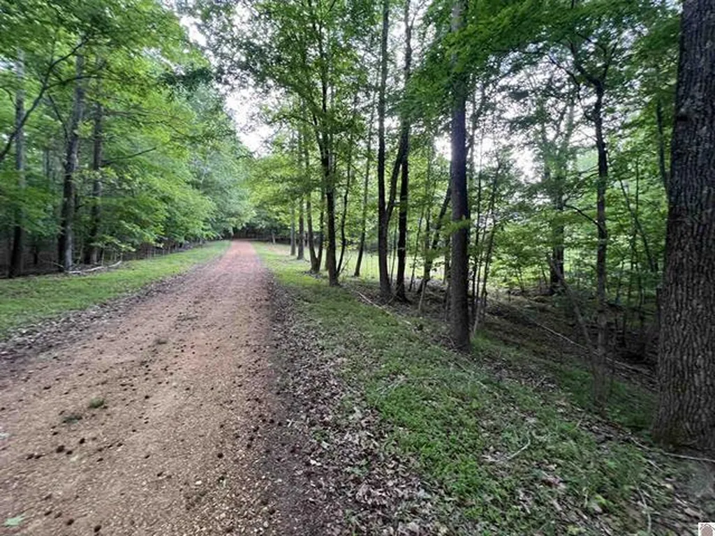 Lot 51 Block E Serenity Shores Road Cadiz KY 42211