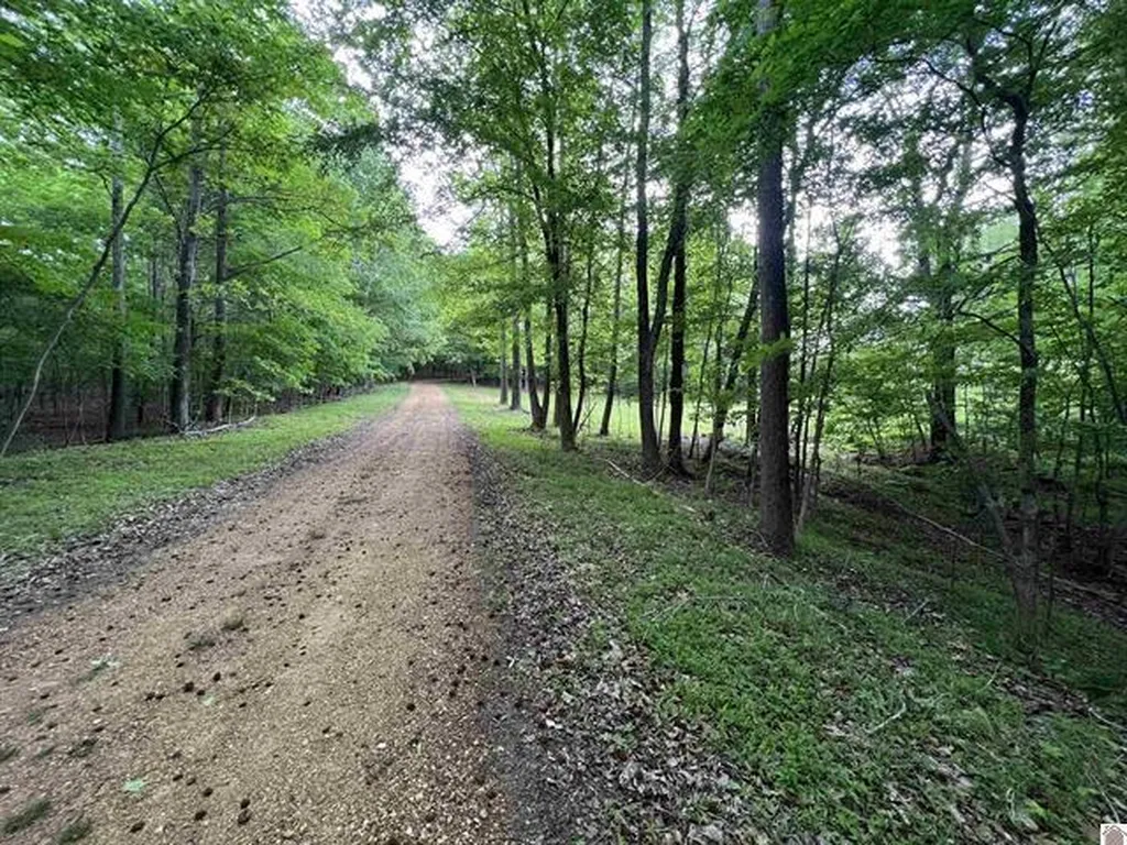 Lot 51 Block E Serenity Shores Road Cadiz KY 42211