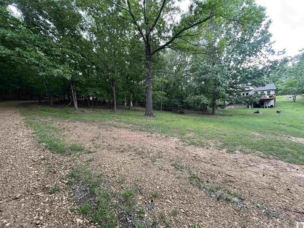 Lot 51 Block E Serenity Shores Road Cadiz KY 42211