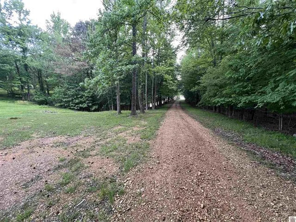 Lot 51 Block E Serenity Shores Road Cadiz KY 42211
