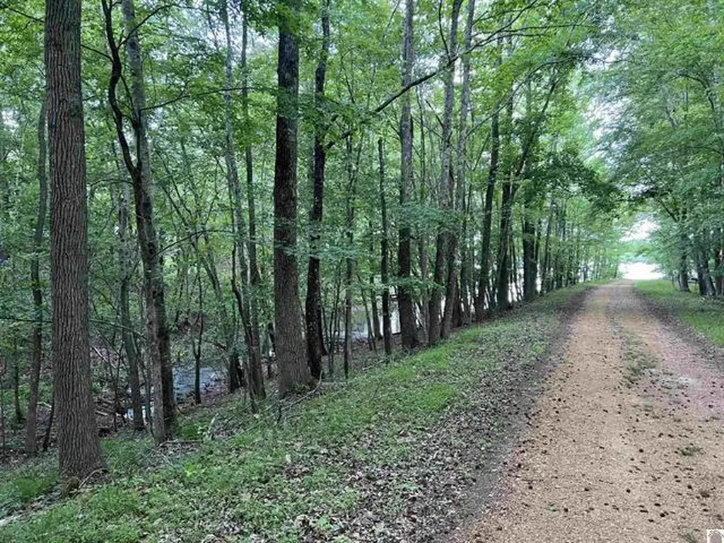 Lot 51 Block E Serenity Shores Road Cadiz KY 42211