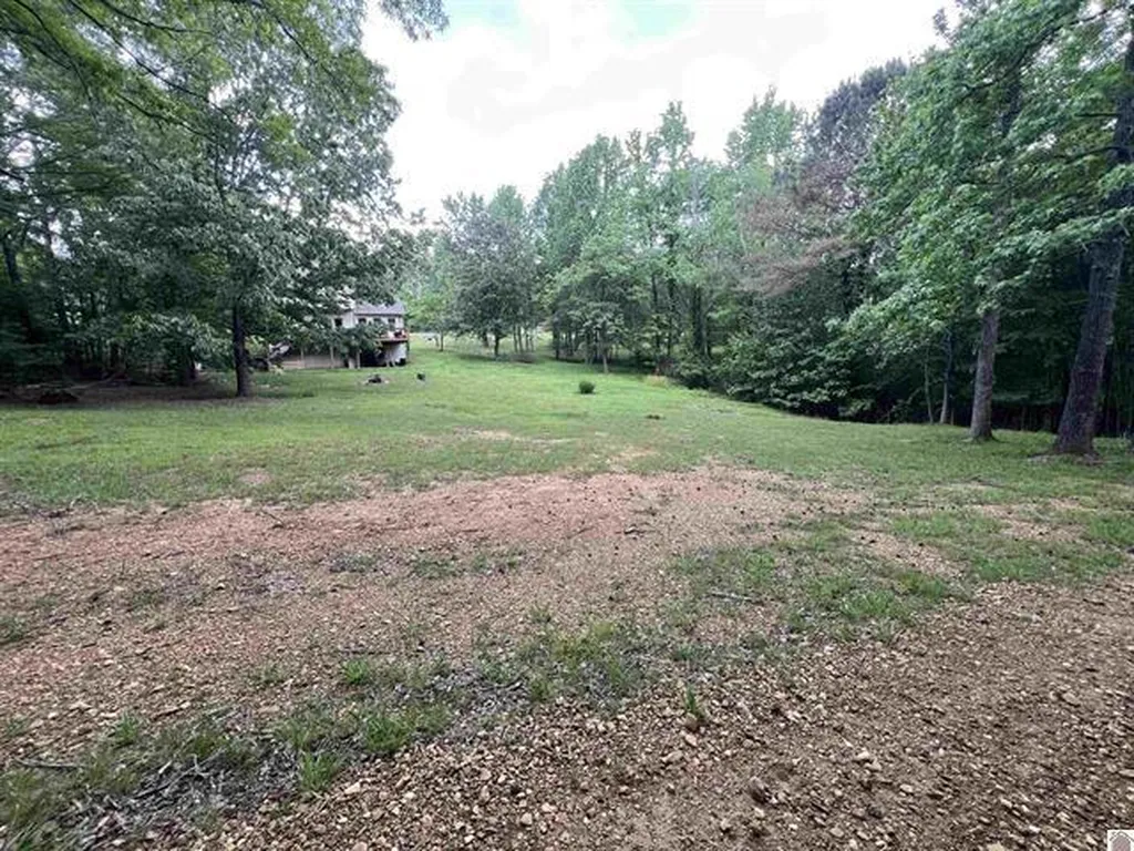 Lot 51 Block E Serenity Shores Road Cadiz KY 42211