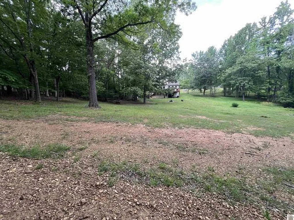 Lot 51 Block E Serenity Shores Road Cadiz KY 42211