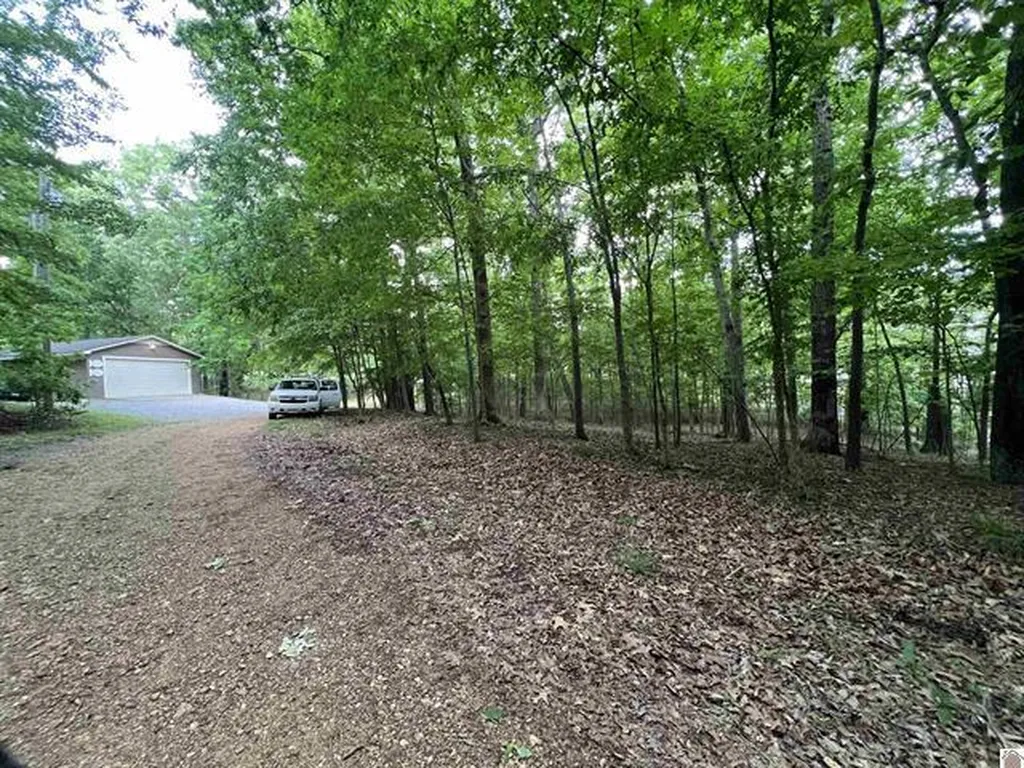 Lot 51 Block E Serenity Shores Road Cadiz KY 42211