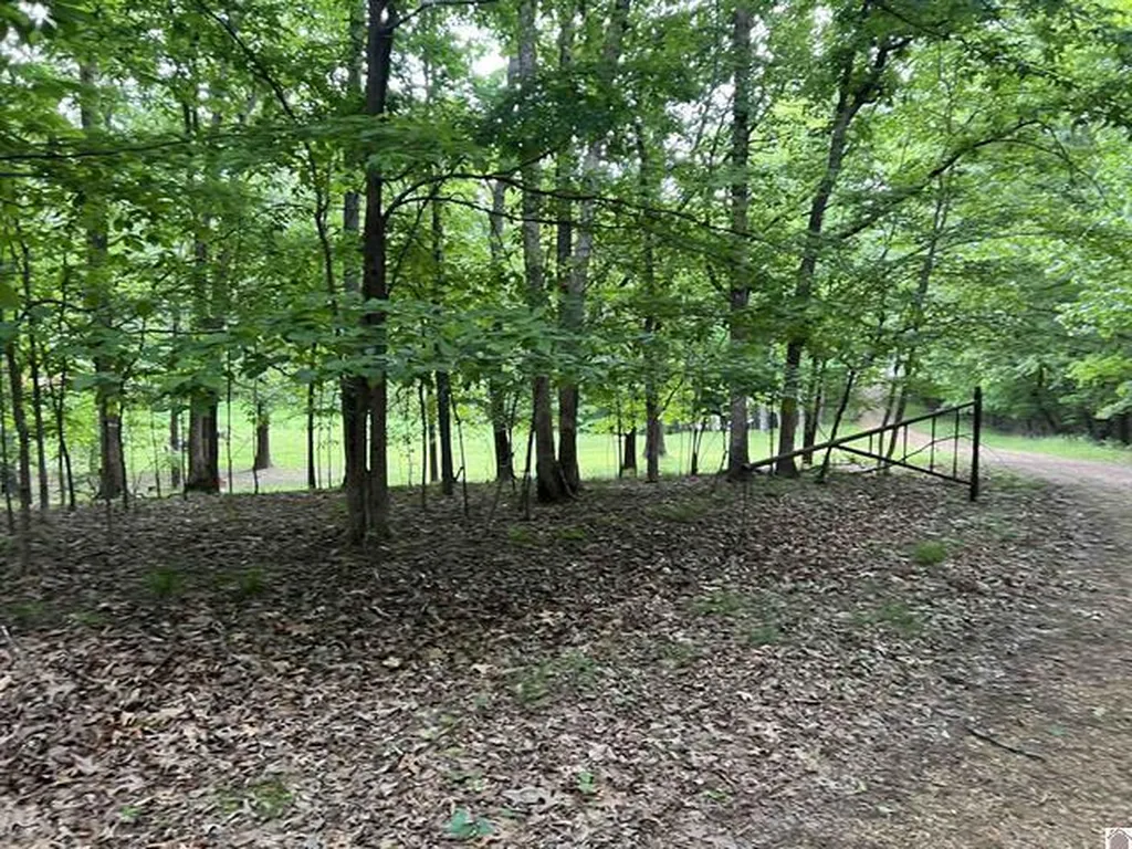Lot 51 Block E Serenity Shores Road Cadiz KY 42211