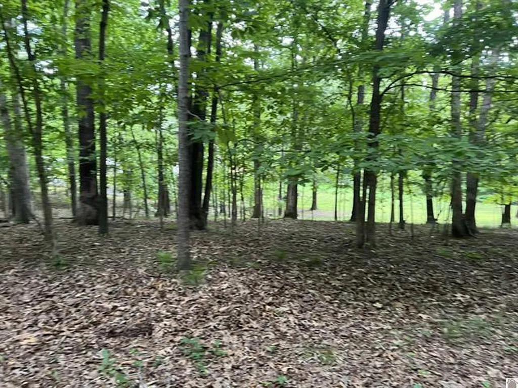 Lot 51 Block E Serenity Shores Road Cadiz KY 42211