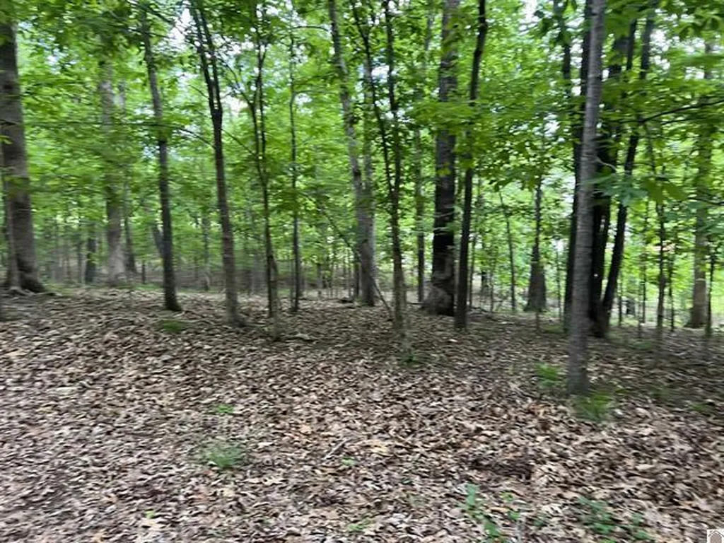 Lot 51 Block E Serenity Shores Road Cadiz KY 42211