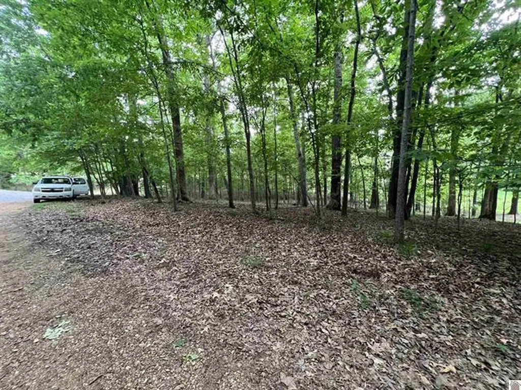 Lot 51 Block E Serenity Shores Road Cadiz KY 42211