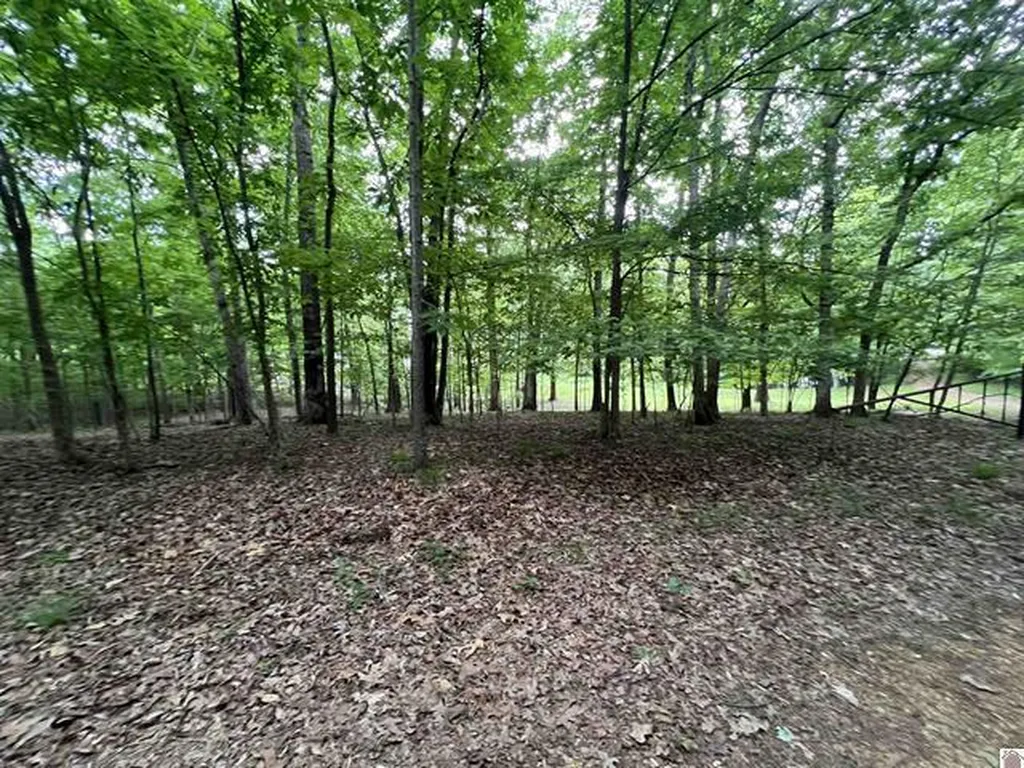 Lot 51 Block E Serenity Shores Road Cadiz KY 42211