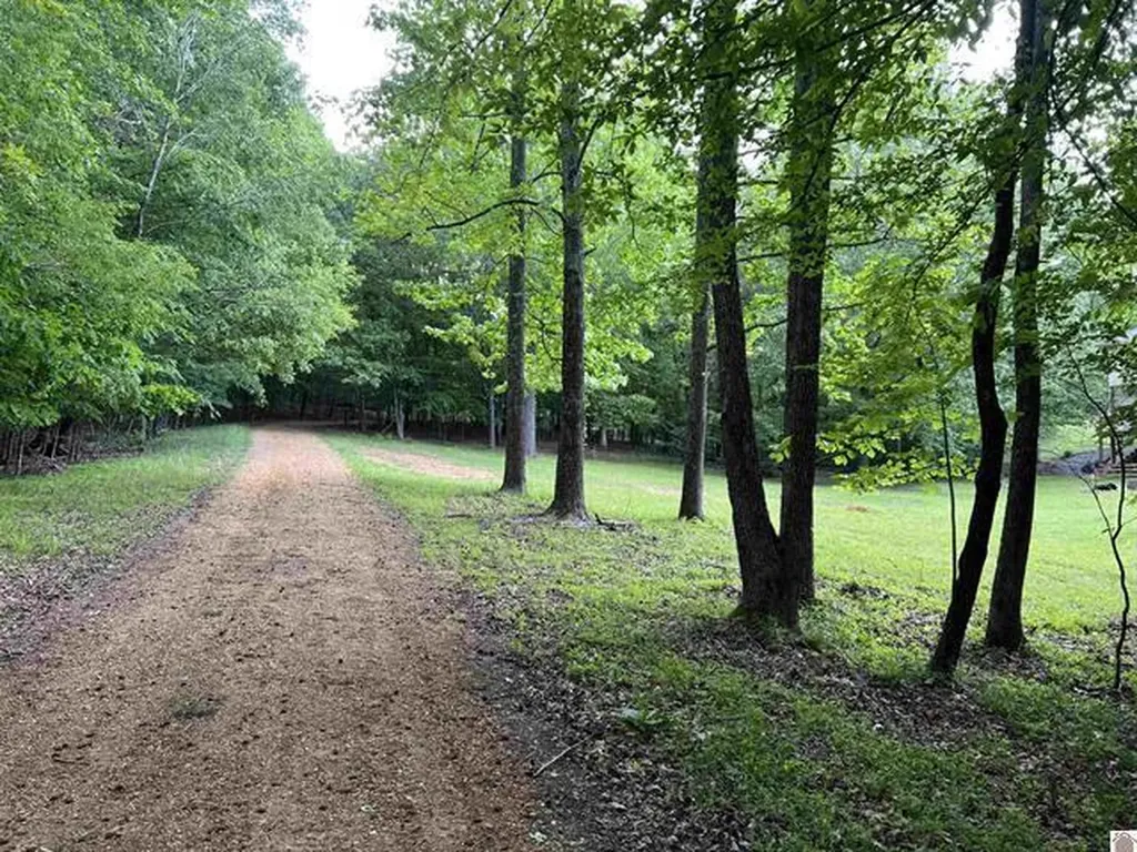 Lot 51 Block E Serenity Shores Road Cadiz KY 42211