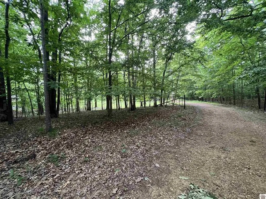 Lot 51 Block E Serenity Shores Road Cadiz KY 42211