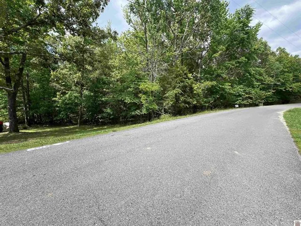 Lot 51 Block E Serenity Shores Road Cadiz KY 42211