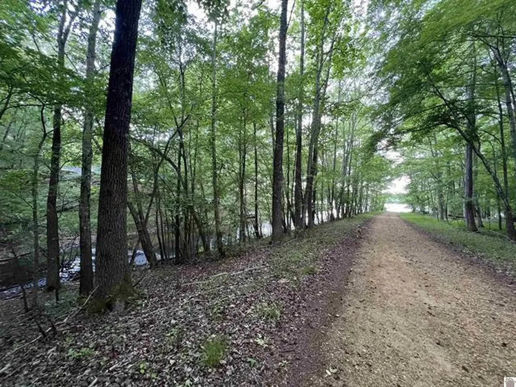Lot 51 Block E Serenity Shores Road Cadiz KY 42211