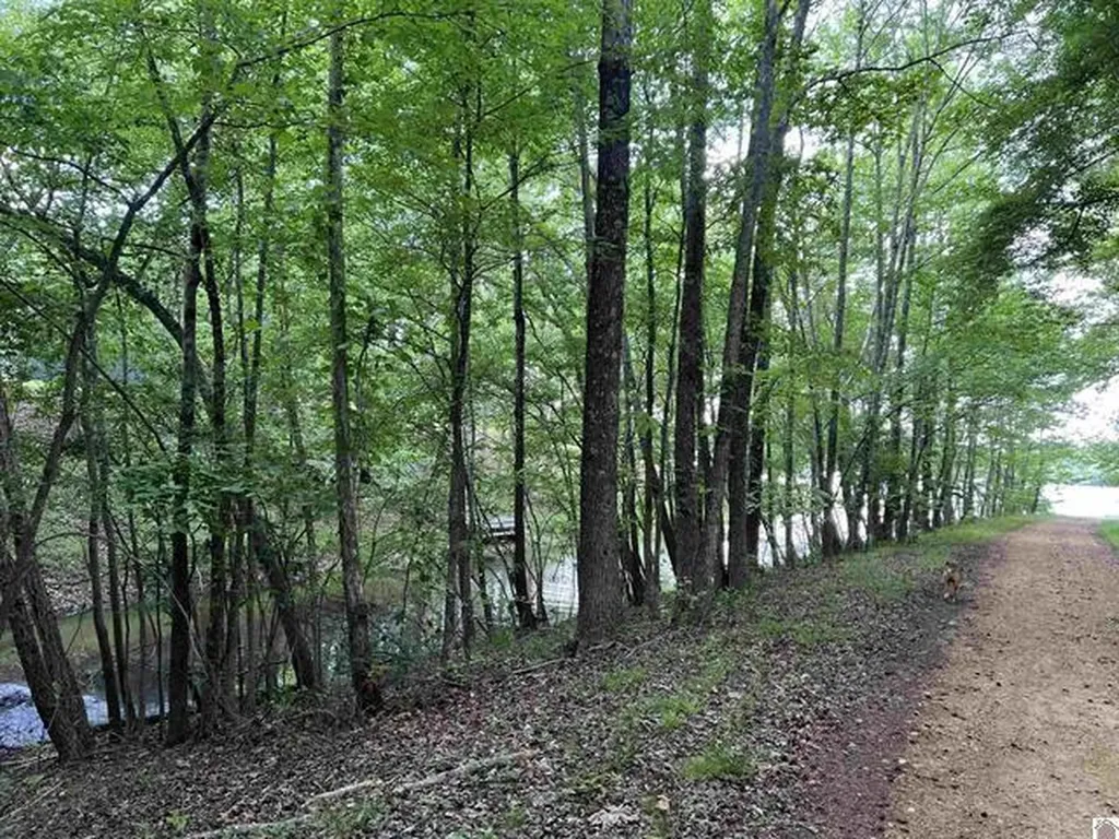 Lot 51 Block E Serenity Shores Road Cadiz KY 42211