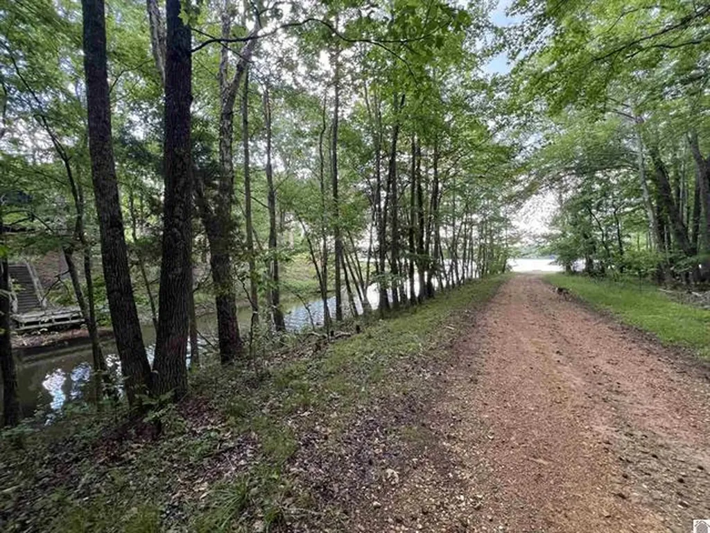 Lot 51 Block E Serenity Shores Road Cadiz KY 42211