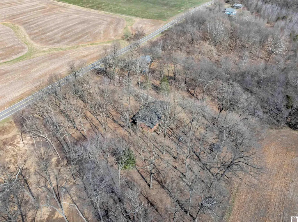9063 Ky-94 Murray KY 42071