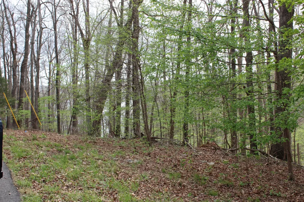 Lot 80 Lisanby Road Eddyville KY 42038