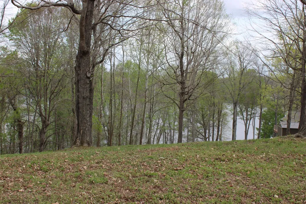 Lot 80 Lisanby Road Eddyville KY 42038