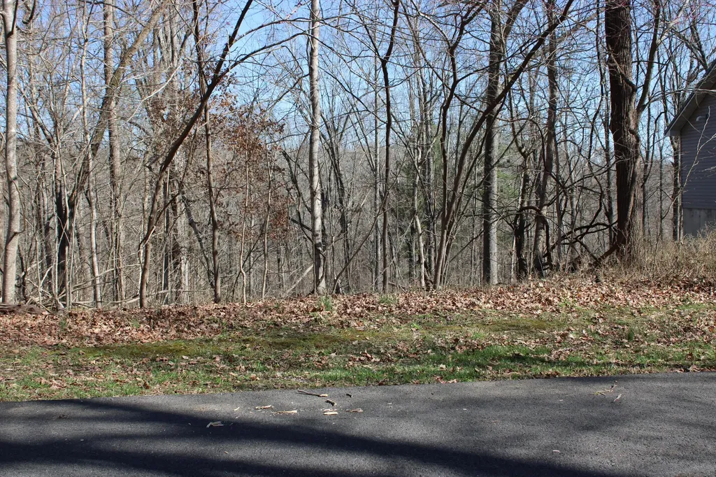 Lot 54 And Lot 55 Lisanby Road Eddyville KY 42038