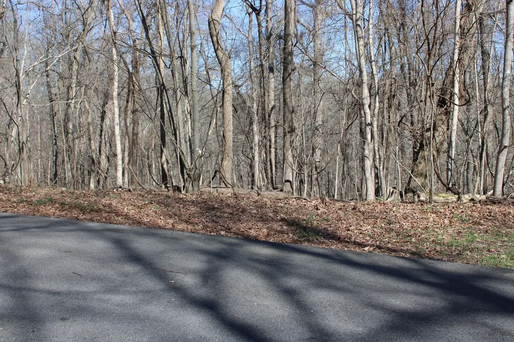 Lot 54 And Lot 55 Lisanby Road Eddyville KY 42038