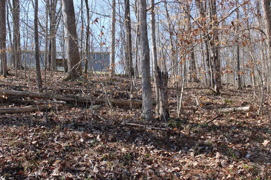 Lot 54 And Lot 55 Lisanby Road Eddyville KY 42038