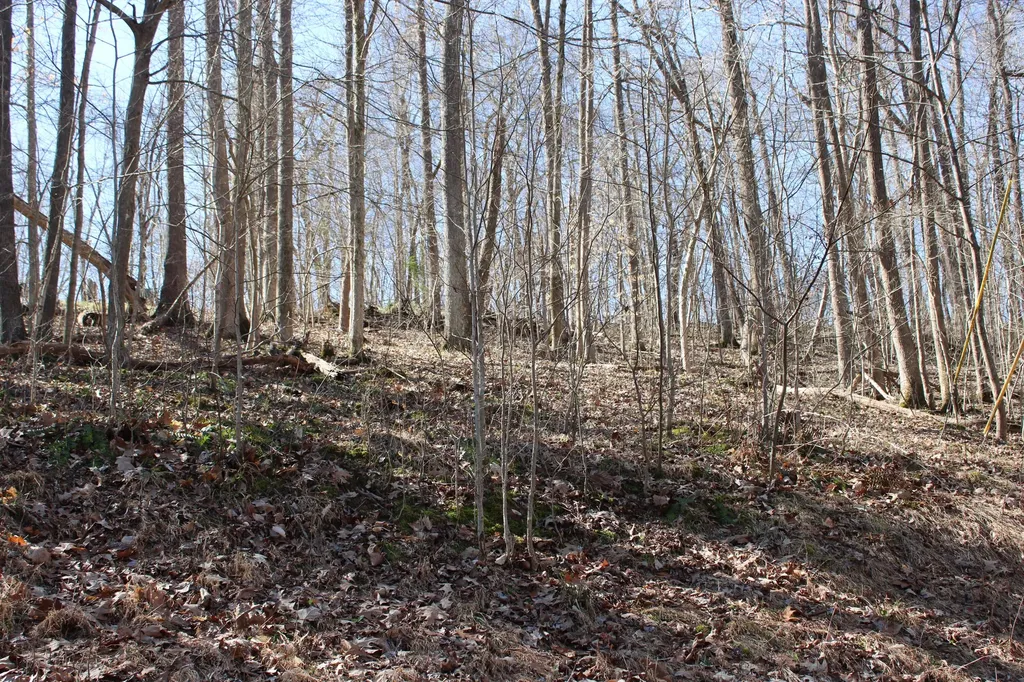 Lot 54 And Lot 55 Lisanby Road Eddyville KY 42038