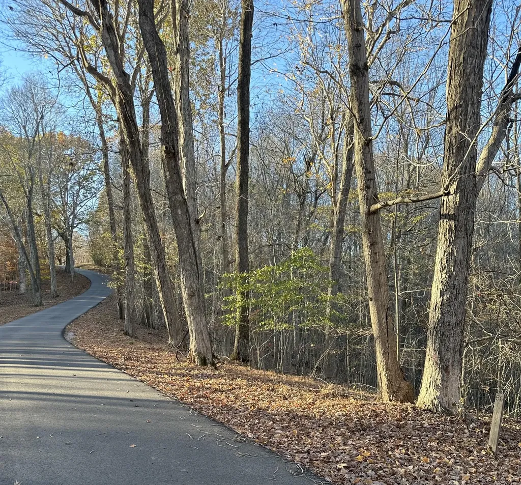 Lot 56 And Lot 57 Lisanby Road Eddyville KY 42038