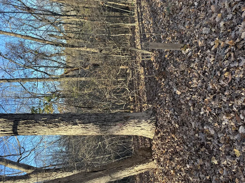 Lot 56 And Lot 57 Lisanby Road Eddyville KY 42038