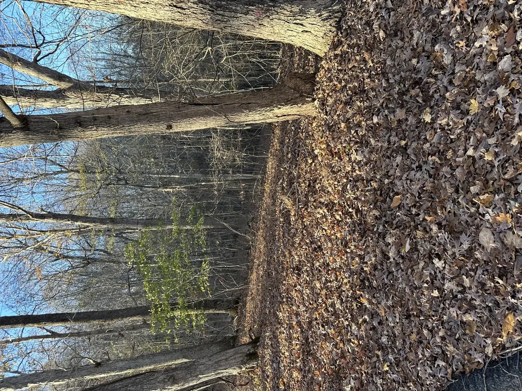 Lot 56 And Lot 57 Lisanby Road Eddyville KY 42038