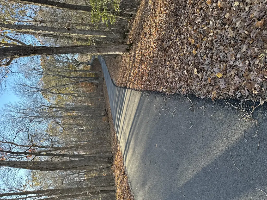 Lot 56 And Lot 57 Lisanby Road Eddyville KY 42038