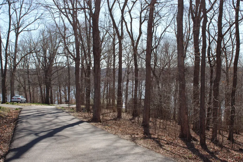 Lot 42 And Lot 43 Lisanby Road Eddyville KY 42038
